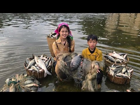 Catching fish with a seine net traditional fishing