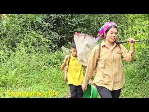 Life highlands Draining the pond to catch giant catfish and