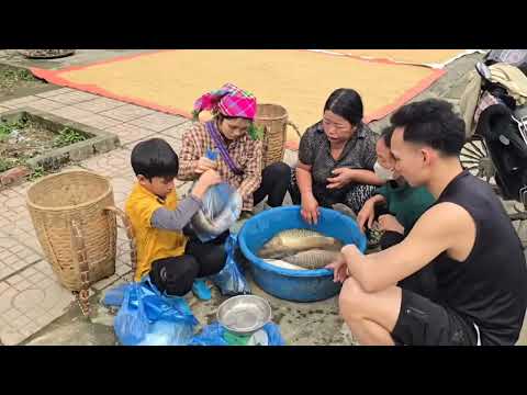 FULL VIDEO FISHING Catching fish in the highlands Skills