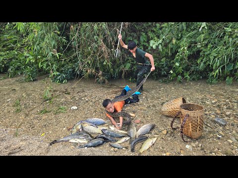 Blocking the flow of water to catch fish encountering a