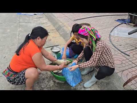 Trapping catfish for sale using primitive fishing methods