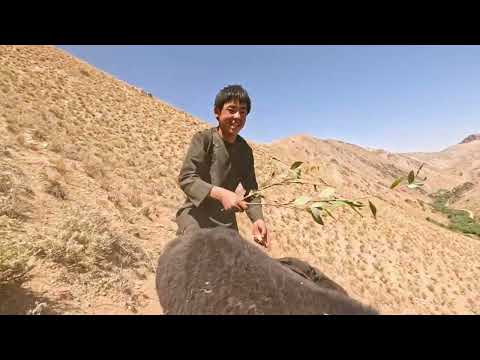 Life in Isolation The Most Remote Family in Afghanistan Far
