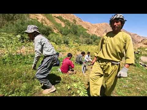 Unbelievable Love Story of an Elderly Couple Living Like