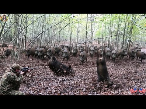 Lost In Deep Forest A Hunt Full Of Surprises And Dangers An