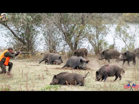 Unstoppable Wild Boar Meet Their End at River Hunters Take