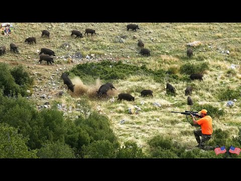 Unforgettable Battle Best Ambush and Shooting of Wild Boars
