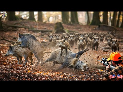 Explosive Wild Boar Hunting Mission Saving Farm from Total