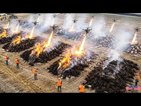 Footage From Texas Feral Hog Massacre A Tense Battle of