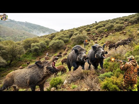 Texas Farmer Faces Off Against Feral Boars How 99 Boars