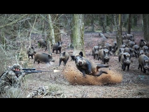 Adrenaline Hunt Chasing and Dropping a Wild Boar with a