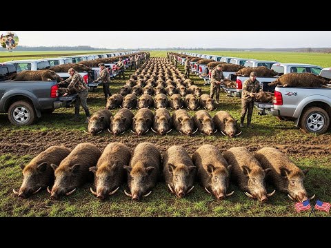 UNBELIEVABLE 603 Wild Boars Killed in Just 45 Minutes
