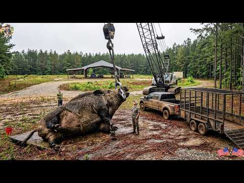 Taking Down The Beast A Breathtaking Confrontation As The