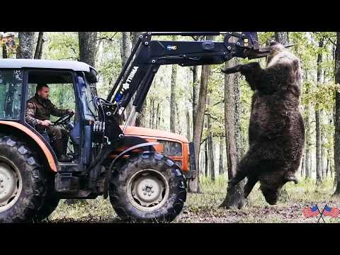 Wild Boar Monster Taken Down How Did Texas Farmers Capture