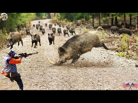 INCREDIBLE Out of Control Wild Boar Hunt Turns Into a