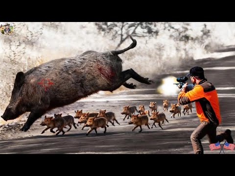 Top 100 Incredible Shots FIGHT WITH GIANT BEAST Unseen