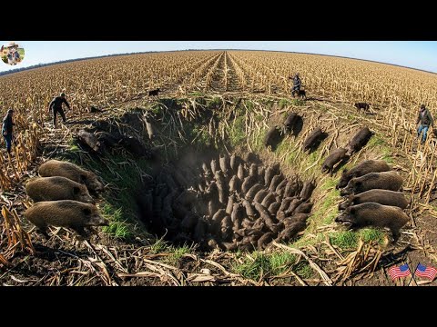 Traditional Surprisingly Effective Trapping Methods Farmer
