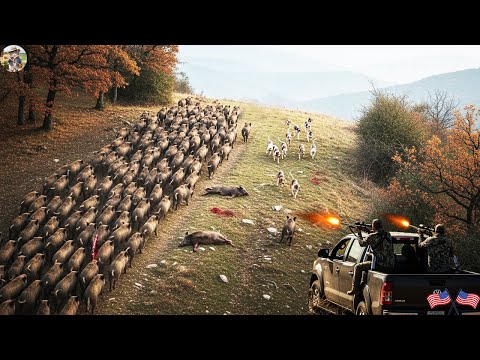 Destroy Wild Boar Hunting Wild Boar Monster on Hillside