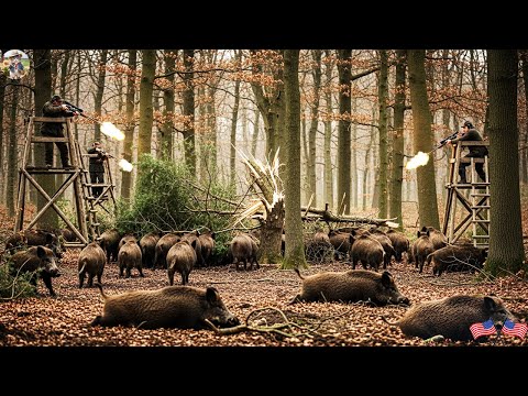 Wild Hogs Destroy Quiet Countryside How Arizona Farmers Can