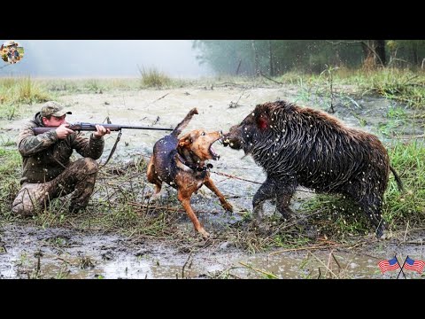 Most Explosive Wild Boar Hunt Ever Pounding Survival Battle