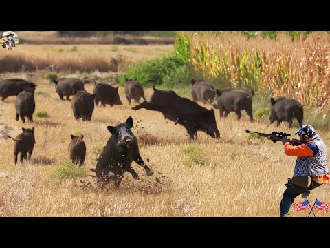 INSANE Boar Attack Hunter Faces a Danger Counterstrike Wild