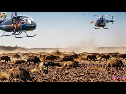 MOST EPIC HUNT Chase Wild Boar to End Stop Threat to Farm
