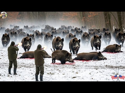 Dangerous Wild Boar Chase Hunter Faces Wild Boar Monsters