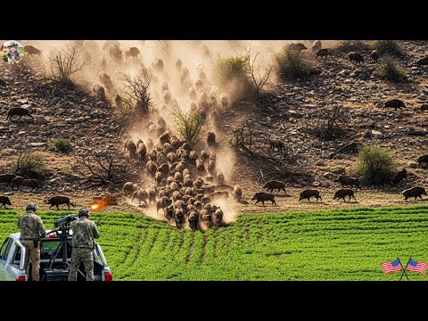 Epic Battle Against Giant Wild Boars Wild Boar Attack on