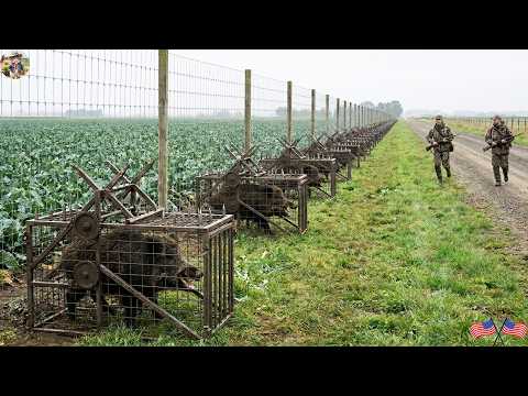 UNBELIEVABLE Traps Collapse Simultaneously Farmers Capture
