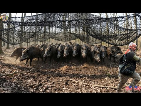 SUCCESS Traps Snap Shut Capturing Hundreds Of Harmful Wild