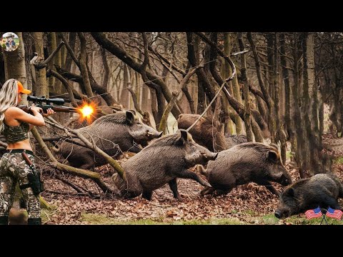 High Speed Chase Between Hunters And Hundreds Of Wild Boars