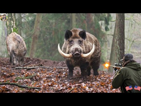 HUNTER vs GIANT WILD BOAR 80 Perfect Shot Never Seen Before