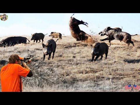 Wild Boar Hunt Epic Chase In The Last Moments Perfect Shot