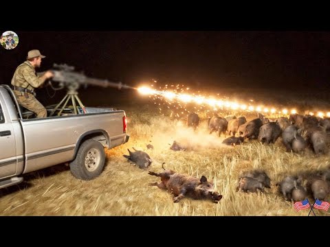 World Record 400 Wild Boar Monsters Taken Down in Mass