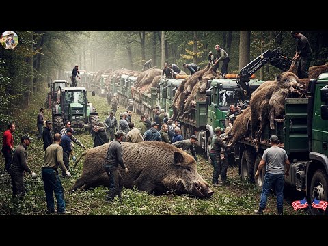 Take Down HUGE Boars 700 pound Farmers Deal With Hundreds