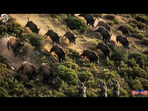 Hunting Trip with No Way Back One Minute of Carelessness