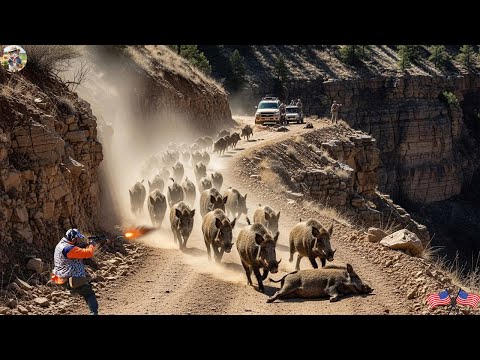 Epic Battle Breaks Wild Boar Raid Hunt Wild Boars to