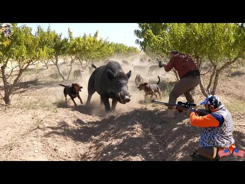 INTENSE BATTLE We Almost Lost Our Farm If We Didn t Fight