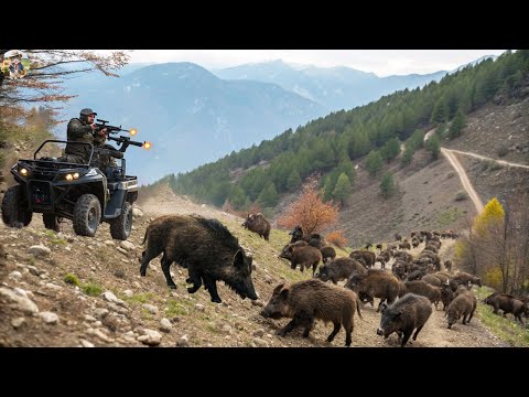 Largest Wild Boar Hunt Ever Farmers Take Action Together to