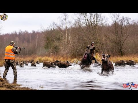 Hunting Wild Boars to Restore Farm Balance Controlling Wild