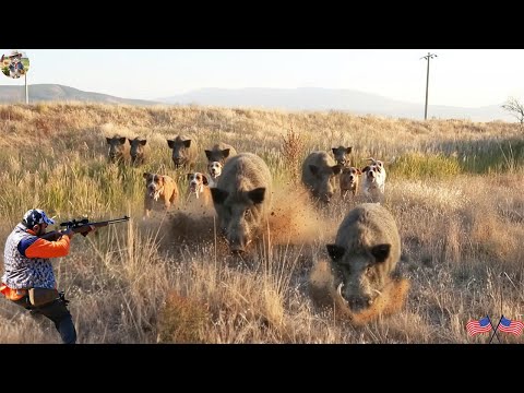 Unbelievable Boar Encounter Monster Hunt Turns Into Chaos
