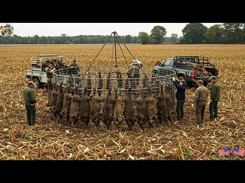 Wild Boar Trap in Action It Worked Perfectly