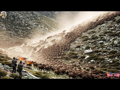 Terrifying Wild Boar Invasion Massive Wild Boar Stampede