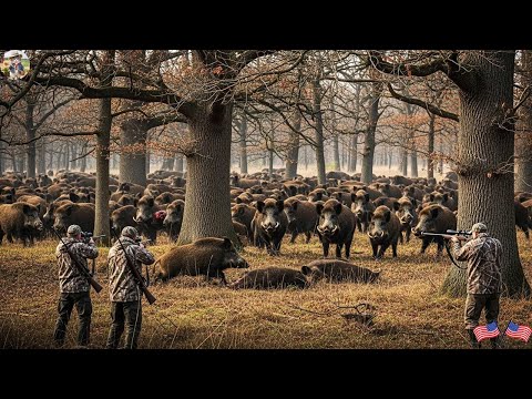 Hundreds of Wild Boars Approach Farm Farmers Turn On