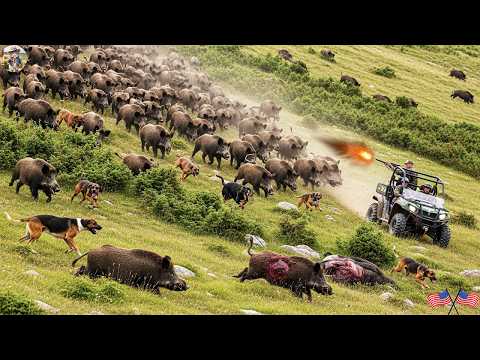 Unforgettable Moment Fearless Dog Farmer and Hunter Chasing