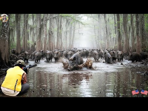 Hunting Wild Boars in Swamp Most Dangerous Hunt Ever Insane