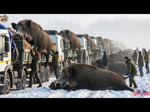 AMAZING Wild Boar Monsters Revealed for First Time How Did