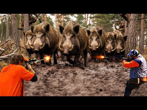 French Farmers Go Crazy Over Wild Boars Biggest hunt Ever
