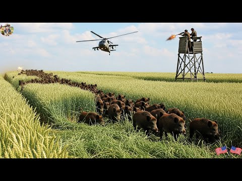 UNBELIEVABLE Texas Farmers Use Every Means to Deal with