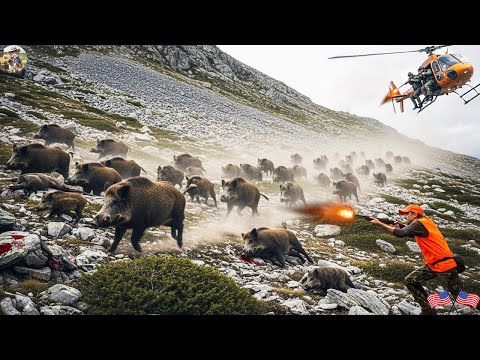 American Hunter s Fierce Battle with Wild Boar A Dramatic