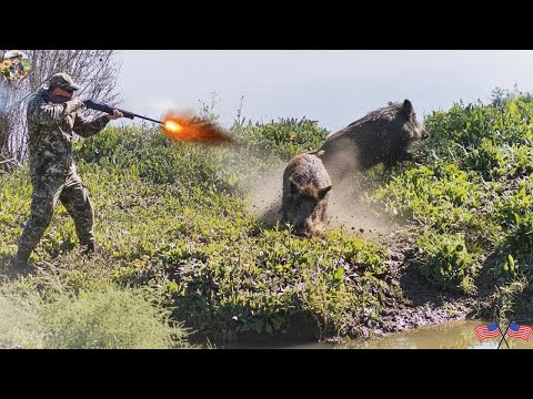 Tragic Conflict Unstoppable Invasion Farmers Overwhelmed by